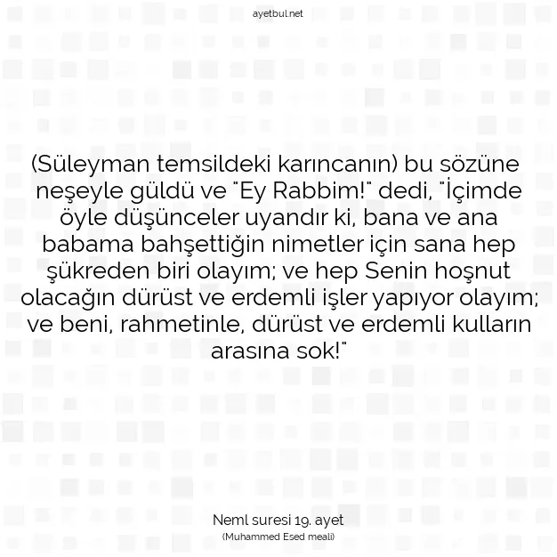 Ayetbul | Kuran Mealleri | Quran | Neml suresi 19. ayet