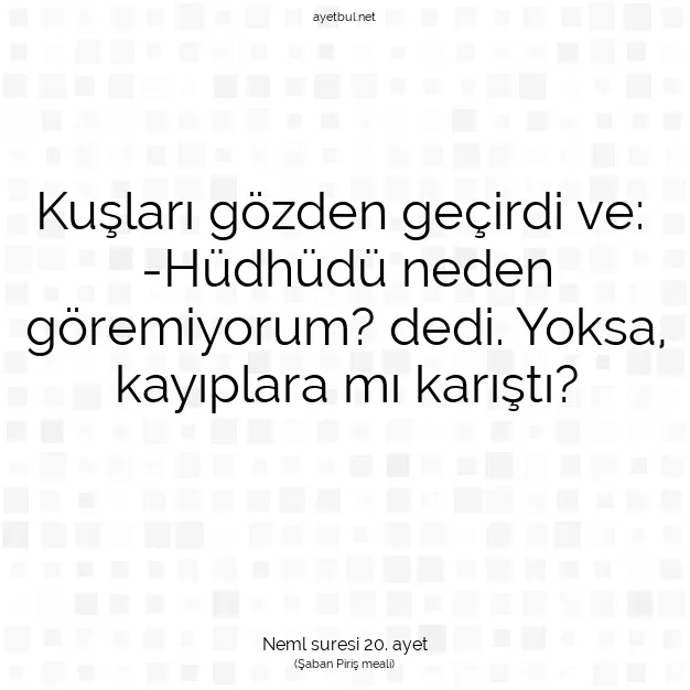 Ayetbul | Kuran Mealleri | Quran | Neml suresi 20. ayet