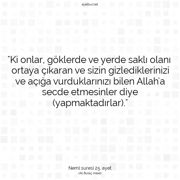 Ayetbul | Kuran Mealleri | Quran | Neml suresi 25. ayet