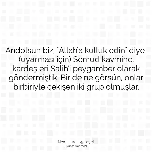 Ayetbul | Kuran Mealleri | Quran | Neml suresi 45. ayet
