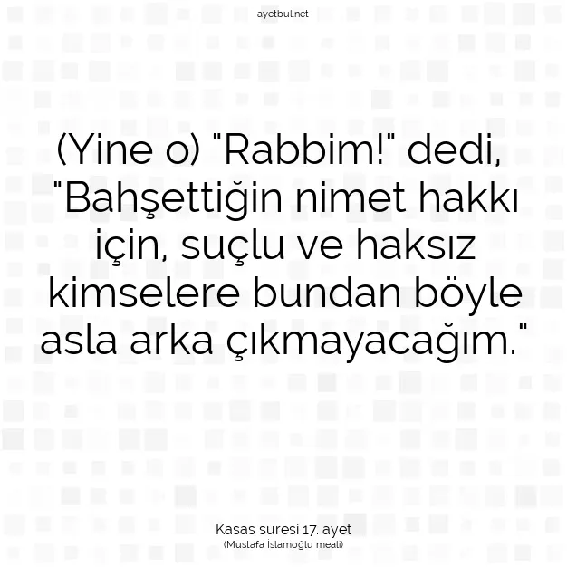 Ayetbul | Kuran Mealleri | Quran | Kasas suresi 17. ayet