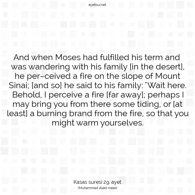 Ayetbul | Kuran Mealleri | Quran | Kasas suresi 29. ayet