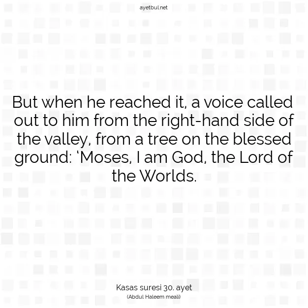 Ayetbul | Kuran Mealleri | Quran | Kasas suresi 30. ayet