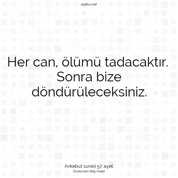 Ayetbul | Kuran Mealleri | Quran | Ankebut suresi 57. ayet