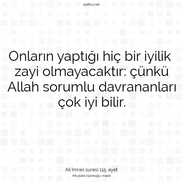 Ayetbul | Kuran Mealleri | Quran | Ali İmran suresi 115. ayet