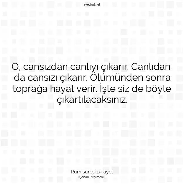 Ayetbul | Kuran Mealleri | Quran | Rum suresi 19. ayet