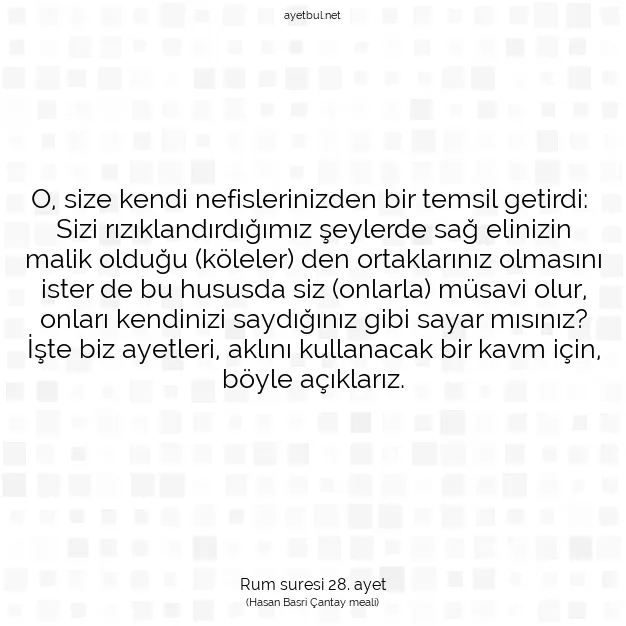 Ayetbul | Kuran Mealleri | Quran | Rum suresi 28. ayet