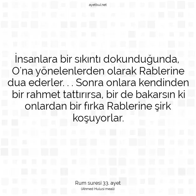 Ayetbul | Kuran Mealleri | Quran | Rum suresi 33. ayet