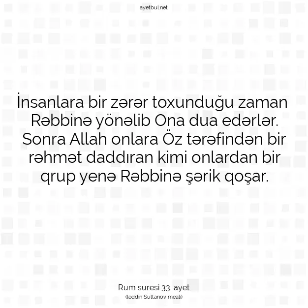 Ayetbul | Kuran Mealleri | Quran | Rum suresi 33. ayet
