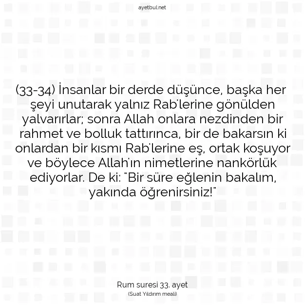 Ayetbul | Kuran Mealleri | Quran | Rum suresi 33. ayet