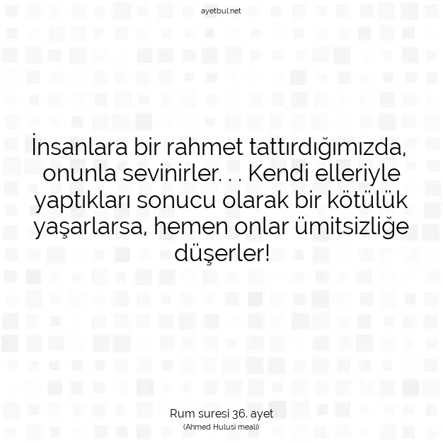 Ayetbul | Kuran Mealleri | Quran | Rum suresi 36. ayet