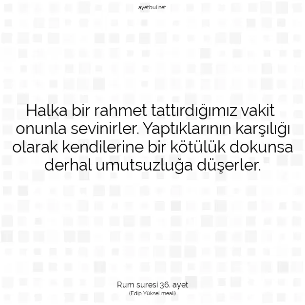 Ayetbul | Kuran Mealleri | Quran | Rum suresi 36. ayet