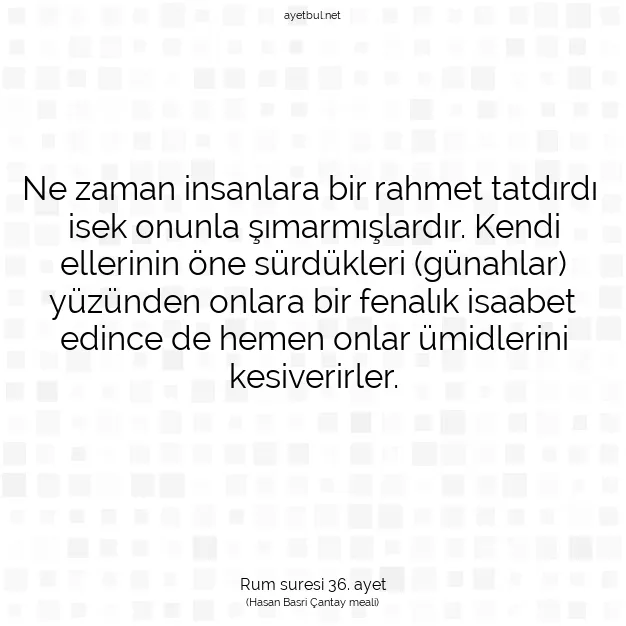 Ayetbul | Kuran Mealleri | Quran | Rum suresi 36. ayet