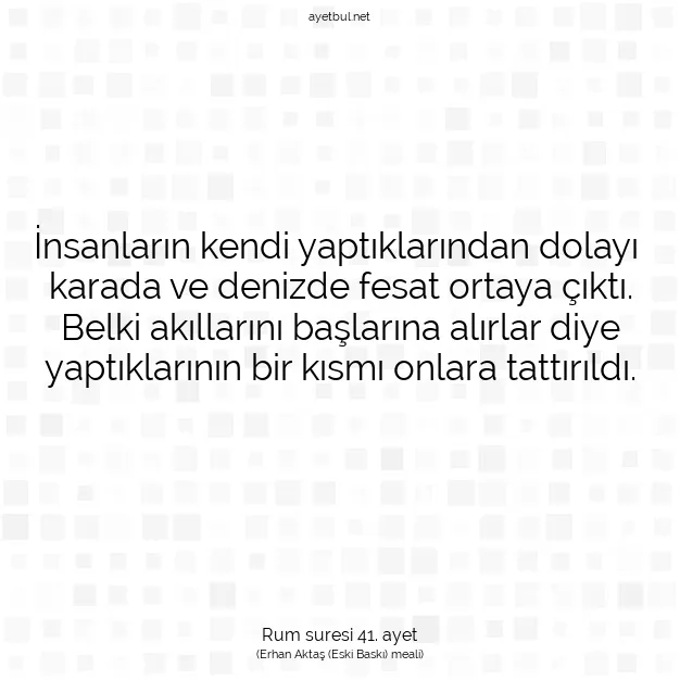 Ayetbul | Kuran Mealleri | Quran | Rum suresi 41. ayet
