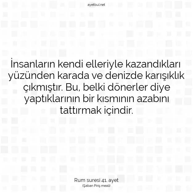 Ayetbul | Kuran Mealleri | Quran | Rum suresi 41. ayet