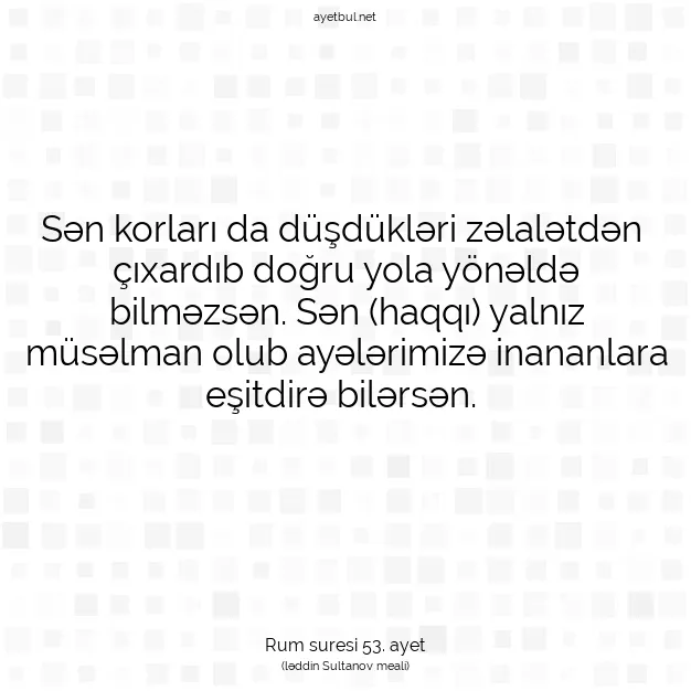 Ayetbul | Kuran Mealleri | Quran | Rum suresi 53. ayet