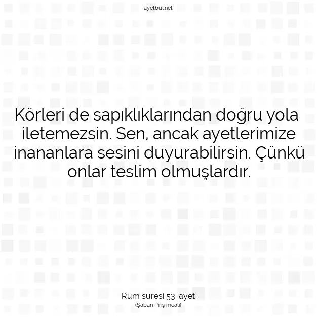 Ayetbul | Kuran Mealleri | Quran | Rum suresi 53. ayet