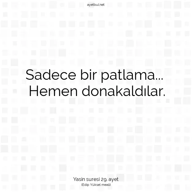 Ayetbul | Kuran Mealleri | Quran | Yasin suresi 29. ayet