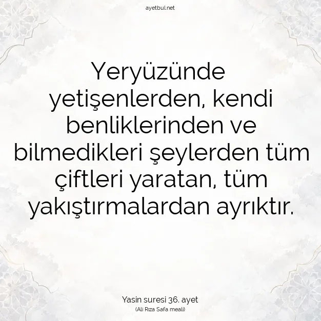 Ayetbul | Kuran Mealleri | Quran | Yasin suresi 36. ayet