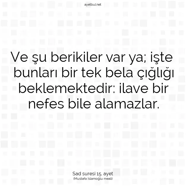 Ayetbul | Kuran Mealleri | Quran | Sad suresi 15. ayet