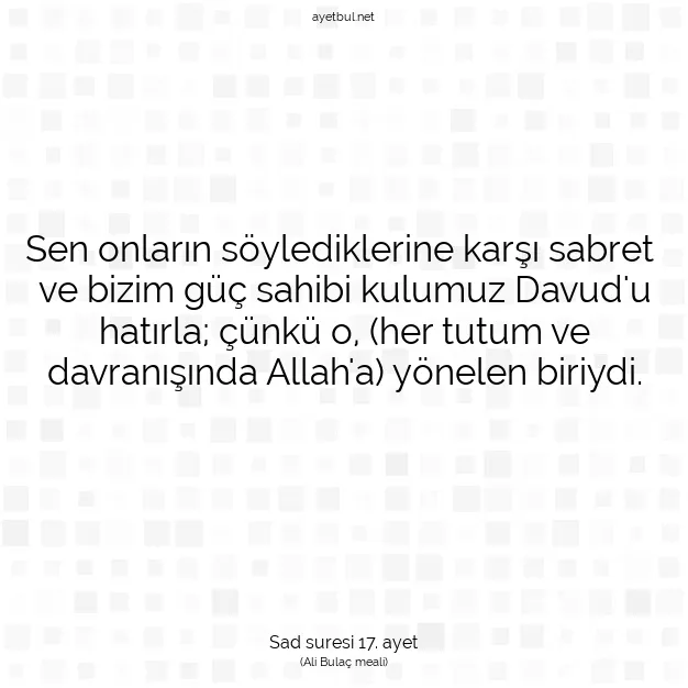Ayetbul | Kuran Mealleri | Quran | Sad suresi 17. ayet
