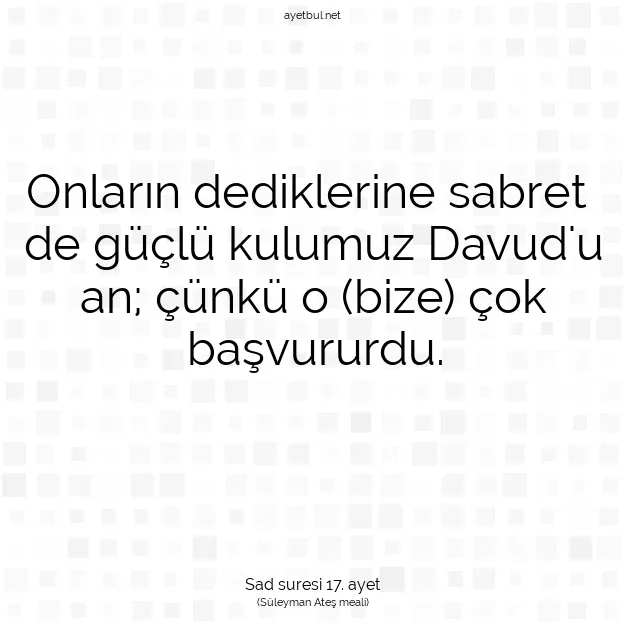 Ayetbul | Kuran Mealleri | Quran | Sad suresi 17. ayet