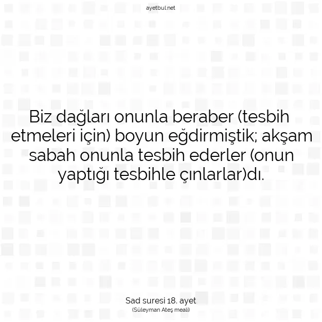 Ayetbul | Kuran Mealleri | Quran | Sad suresi 18. ayet