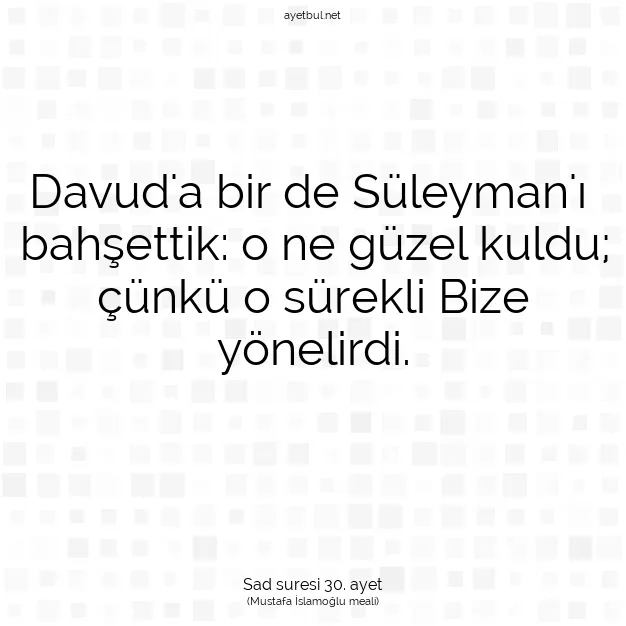 Ayetbul | Kuran Mealleri | Quran | Sad suresi 30. ayet