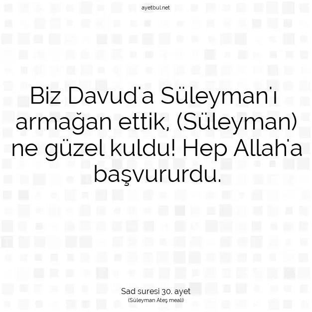 Ayetbul | Kuran Mealleri | Quran | Sad suresi 30. ayet