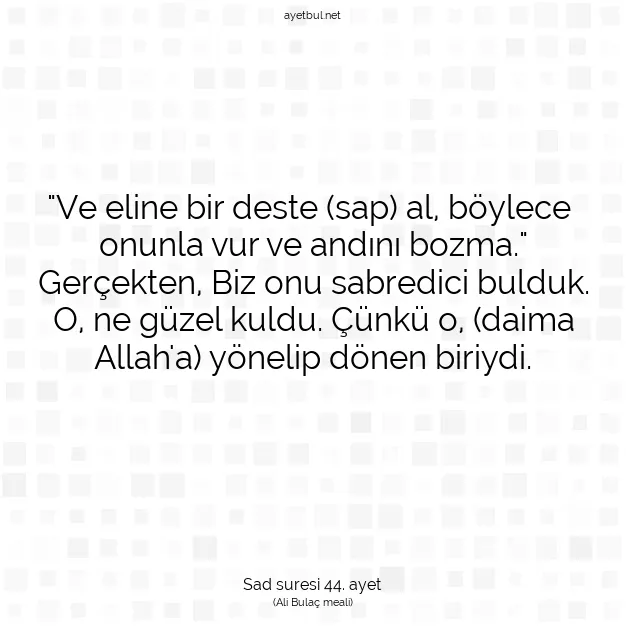 Ayetbul | Kuran Mealleri | Quran | Sad suresi 44. ayet