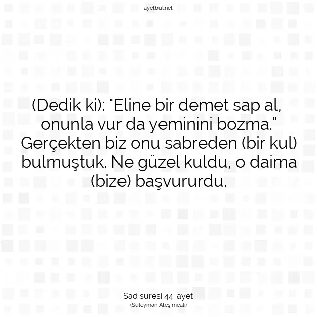 Ayetbul | Kuran Mealleri | Quran | Sad suresi 44. ayet