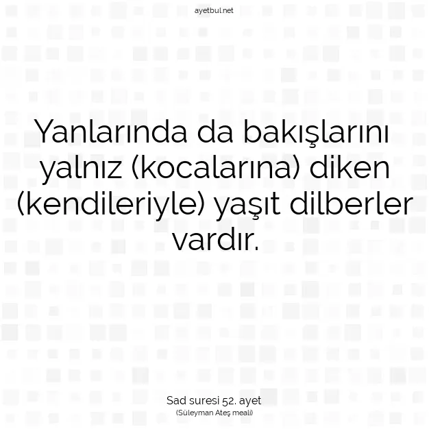 Ayetbul | Kuran Mealleri | Quran | Sad suresi 52. ayet