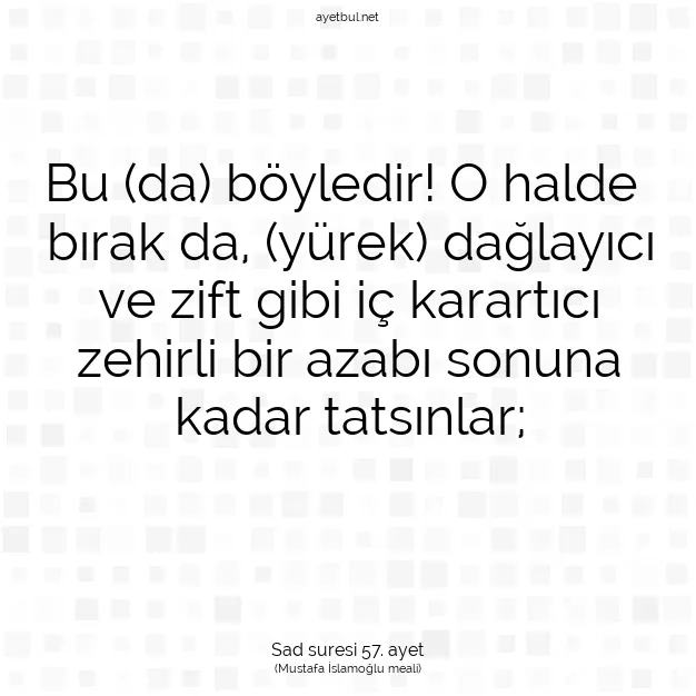 Ayetbul | Kuran Mealleri | Quran | Sad suresi 57. ayet