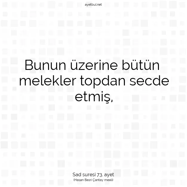 Ayetbul | Kuran Mealleri | Quran | Sad suresi 73. ayet