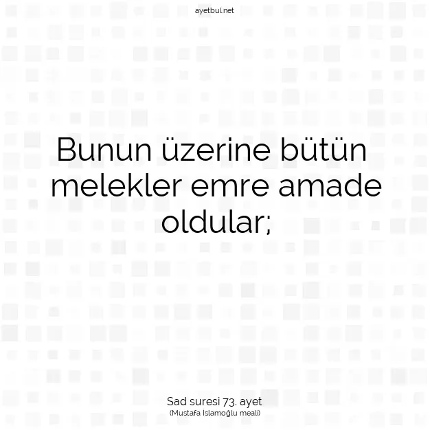Ayetbul | Kuran Mealleri | Quran | Sad suresi 73. ayet