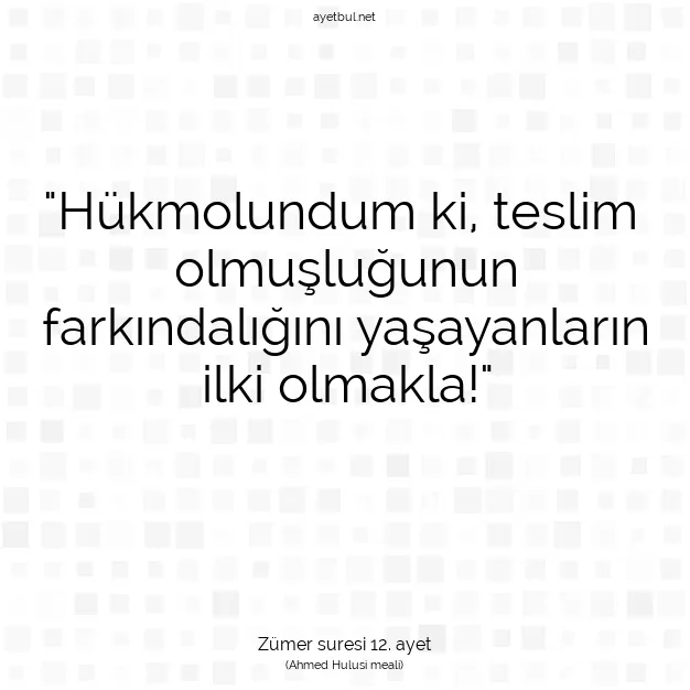 Ayetbul | Kuran Mealleri | Quran | Zümer suresi 12. ayet