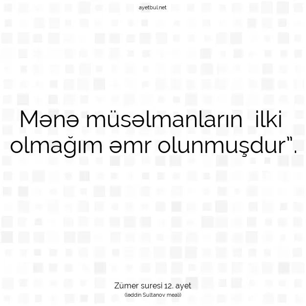 Ayetbul | Kuran Mealleri | Quran | Zümer suresi 12. ayet