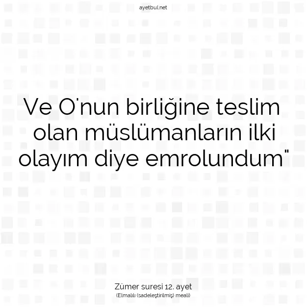 Ayetbul | Kuran Mealleri | Quran | Zümer suresi 12. ayet