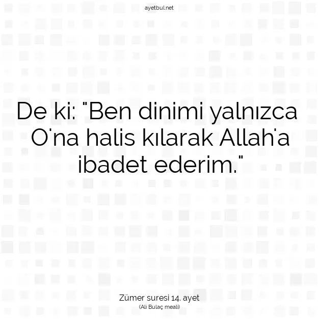 Ayetbul | Kuran Mealleri | Quran | Zümer suresi 14. ayet