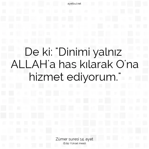 Ayetbul | Kuran Mealleri | Quran | Zümer suresi 14. ayet