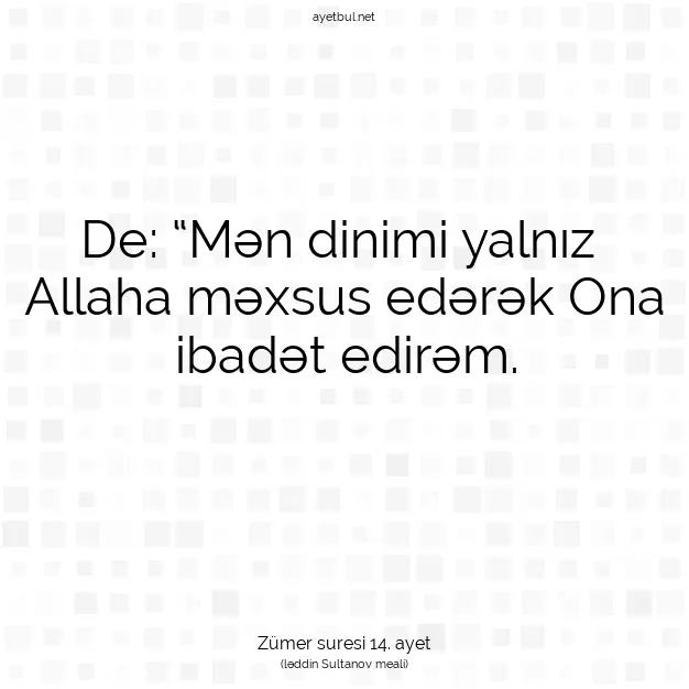 Ayetbul | Kuran Mealleri | Quran | Zümer suresi 14. ayet
