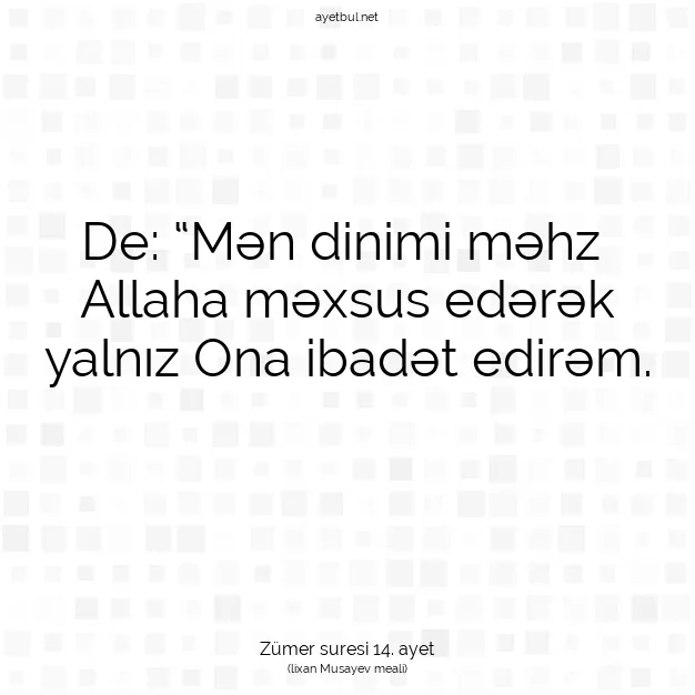Ayetbul | Kuran Mealleri | Quran | Zümer suresi 14. ayet