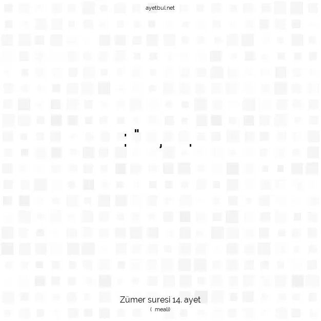 Ayetbul | Kuran Mealleri | Quran | Zümer suresi 14. ayet