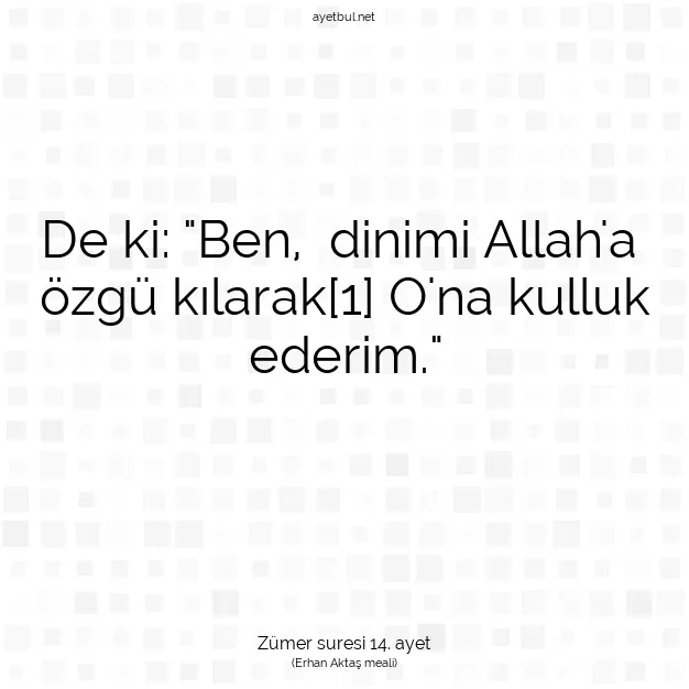 Ayetbul | Kuran Mealleri | Quran | Zümer suresi 14. ayet