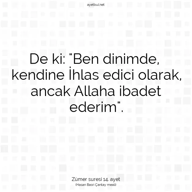 Ayetbul | Kuran Mealleri | Quran | Zümer suresi 14. ayet