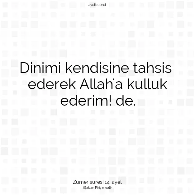 Ayetbul | Kuran Mealleri | Quran | Zümer suresi 14. ayet