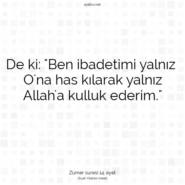 Ayetbul | Kuran Mealleri | Quran | Zümer suresi 14. ayet