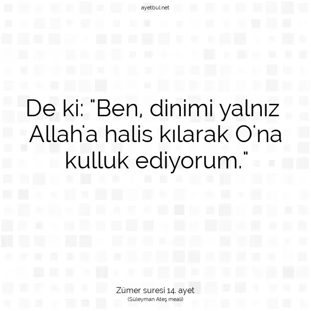Ayetbul | Kuran Mealleri | Quran | Zümer suresi 14. ayet