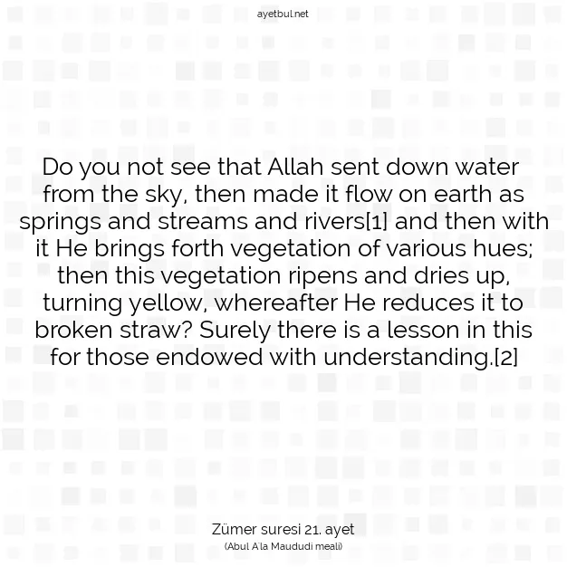Ayetbul | Kuran Mealleri | Quran | Zümer suresi 21. ayet