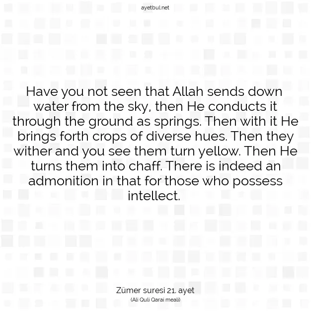 Ayetbul | Kuran Mealleri | Quran | Zümer suresi 21. ayet